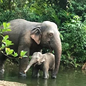 Meet your Posher, Kara